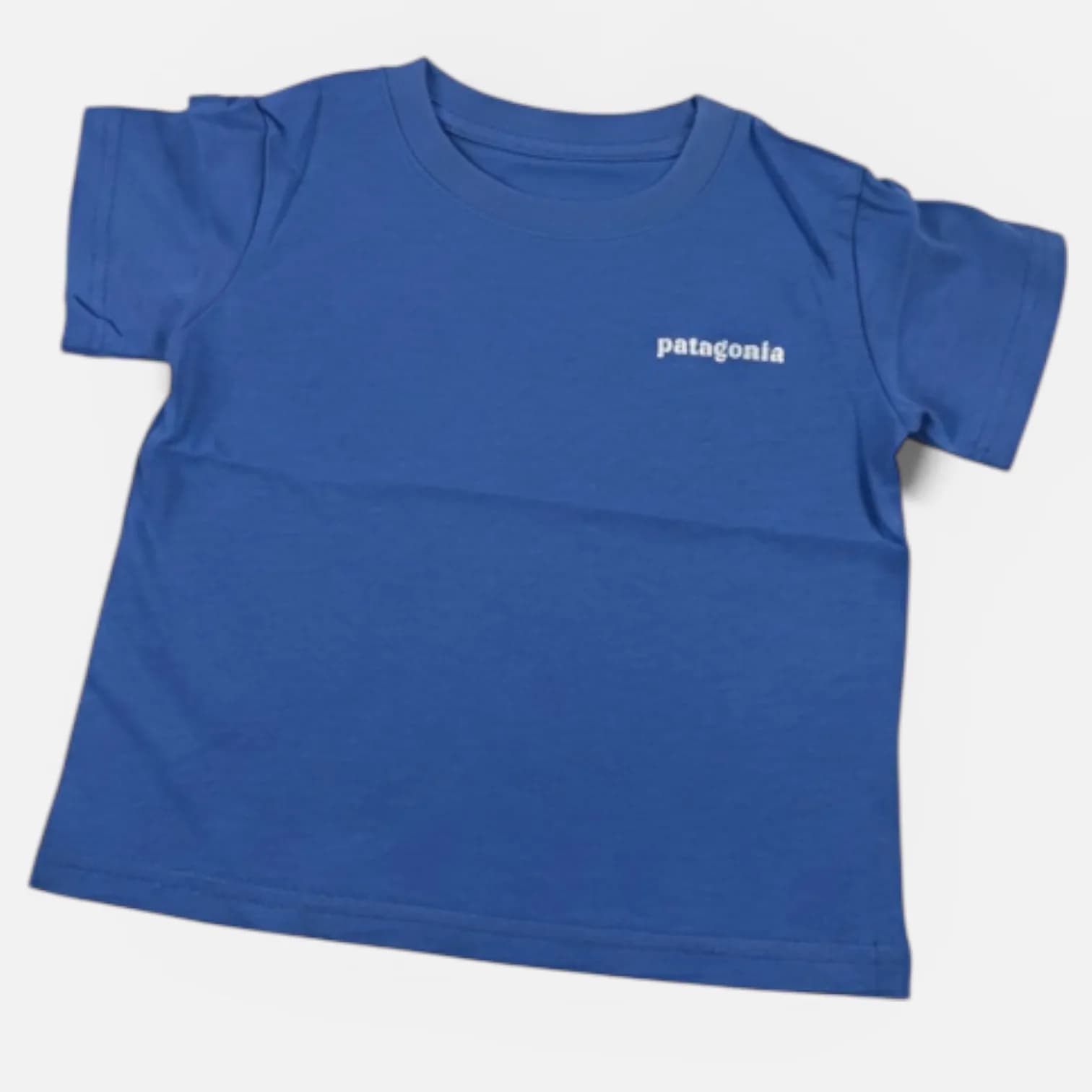 Patagonia P-6 Logo T-Shirt