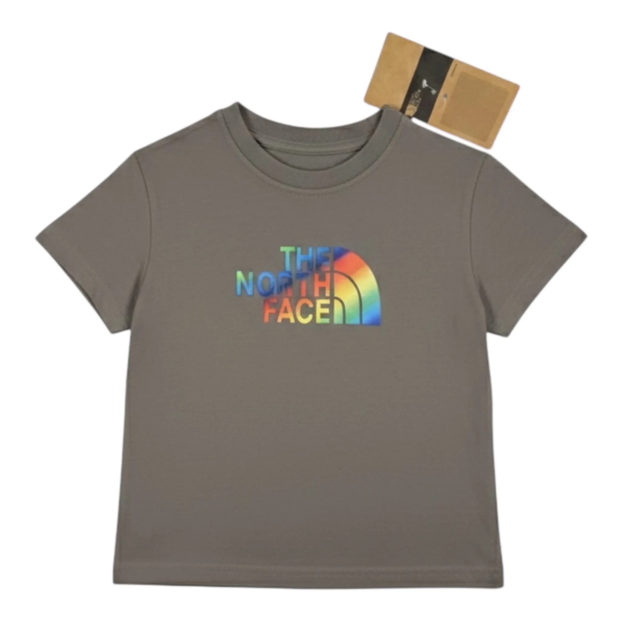 The North Face 的中性彩虹Logo 短袖T 恤 縮圖 2