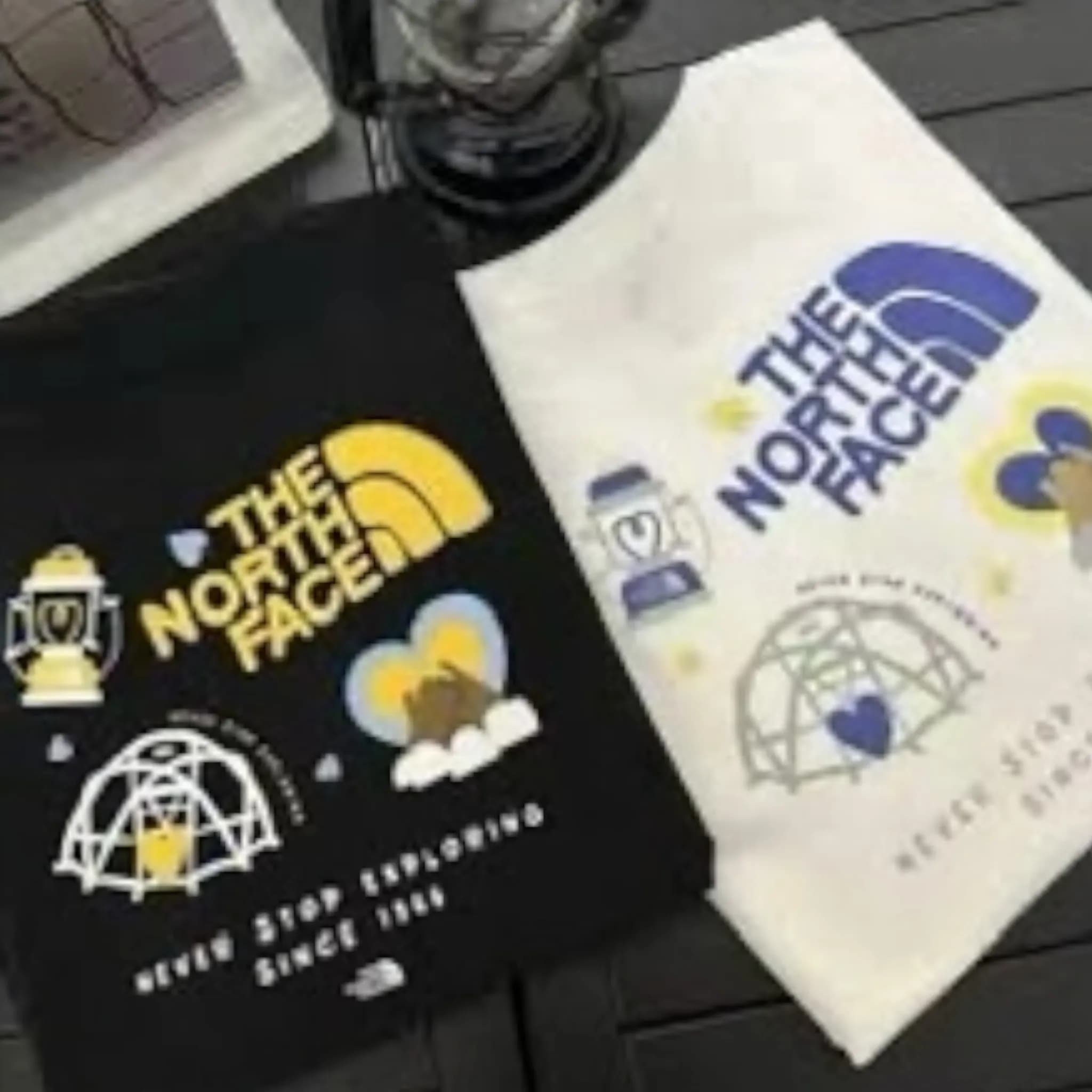 THE NORTH FACE 純色透氣休閒純棉短袖T恤